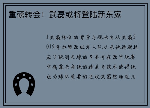 重磅转会！武磊或将登陆新东家