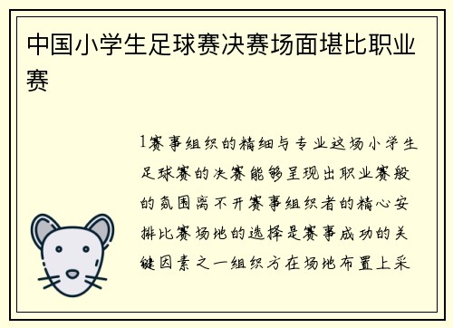 中国小学生足球赛决赛场面堪比职业赛